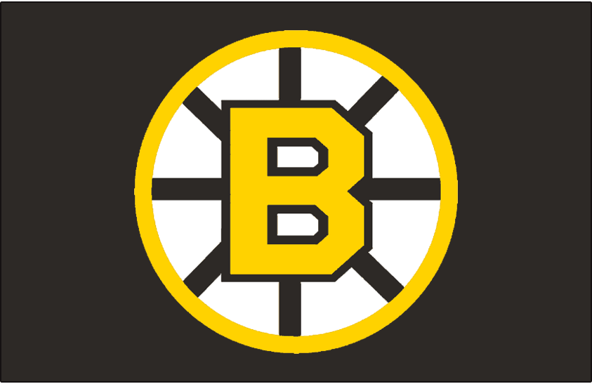 Boston Bruins 1955-1995 Jersey Logo iron on transfers for clothing